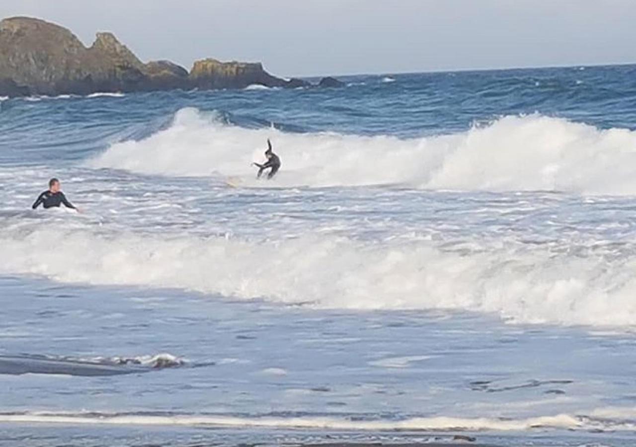 Coast Cottage Bunmahon Екстериор снимка